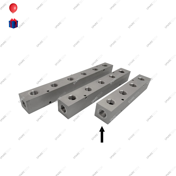 Rampe de distribution inox 4 sorties, 2 entrées F1/2"